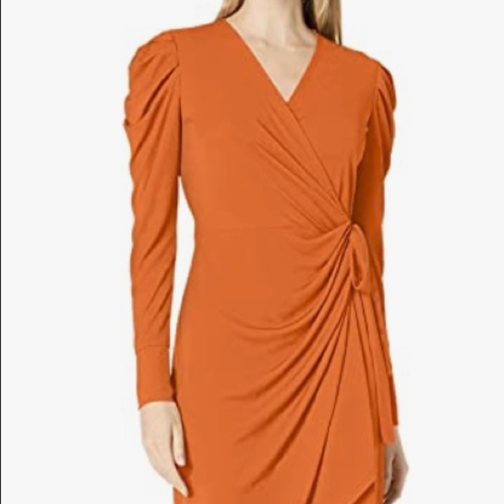 Lark & Ro Women's Long Balloon Sleeve Wrap Dress